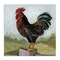 Stupell Industries Rooster Perched On Fence Canvas By Susan Winget